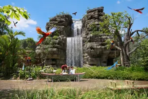 Bird Paradise Singapore Tickets