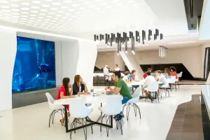 Deep Dive Dubai Tickets