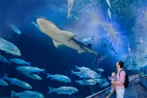 Aquarium of the Bay Tickets