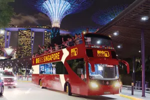 Singapore Hop on Hop off Bus Tours