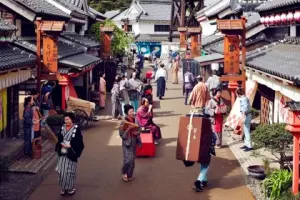 Edo Wonderland Nikko Edomura Tickets