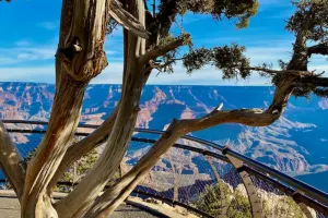 Grand Canyon National Park Tours