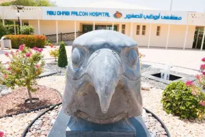 Falcon Hospital Abu Dhabi Tours