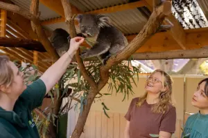 Adelaide Zoo Tickets