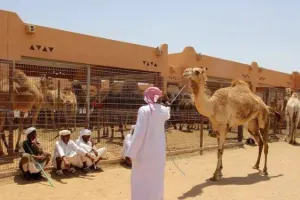Al Ain City Tours