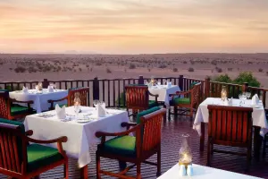 Dubai Falconry Safari Tours