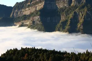 Alishan National Forest Recreation Area Tickets