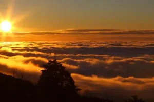Alishan National Forest Recreation Area Tickets