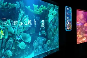Antalya Aquarium Tickets