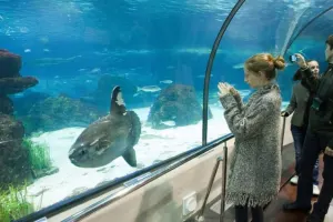 Aquarium Barcelona Tickets