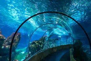 Aquarium Barcelona Tickets