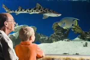 Austin Aquarium Tickets