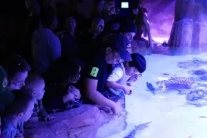 Austin Aquarium Tickets