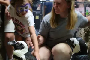 Austin Aquarium Tickets