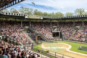 Australia Zoo Tickets