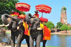 Ayutthaya Tours