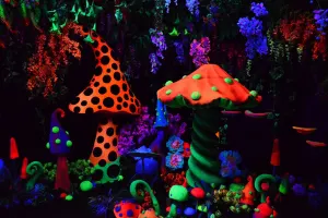 Dark Mansion 3D Glow In the Dark Museum Tickets