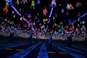 Dark Mansion 3D Glow In the Dark Museum Tickets