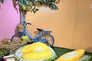 Wonderfood Museum Penang Tickets