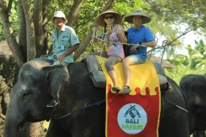 Bali Safari and Marine Park Tickets