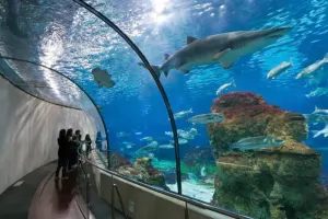 Aquarium Barcelona Tickets