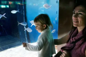 Aquarium Barcelona Tickets