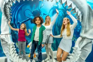 Big Fun Museum Tickets