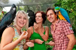 Birdworld Kuranda Tickets