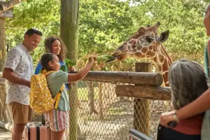 Brevard Zoo Tickets