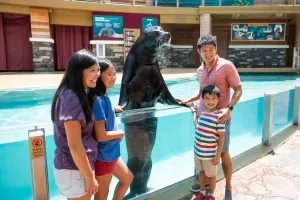 SeaWorld Orlando Tickets