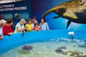 Cairns Aquarium Tickets