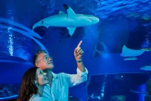 Cairns Aquarium Tickets