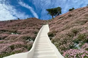 Cameron Highlands Flora Park Tickets