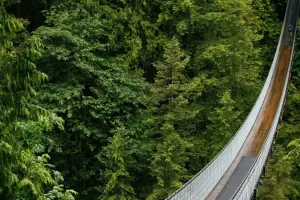 Capilano Suspension Bridge Park Tickets