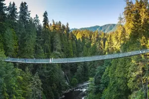 Capilano Suspension Bridge Park Tickets