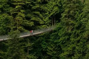 Capilano Suspension Bridge Park Tickets