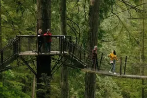 Capilano Suspension Bridge Park Tickets