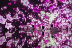 teamLab Planets Tokyo Tickets