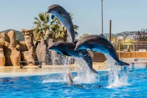 Marineland Catalunya Tickets