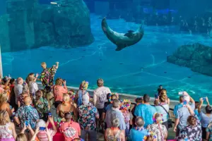 Clearwater Marine Aquarium Tickets