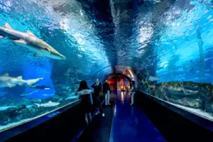 Coex Aquarium Seoul Tickets