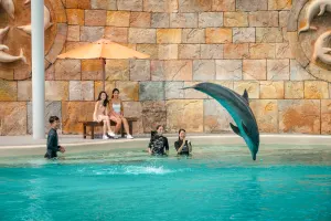 Dolphin Island Singapore Tickets