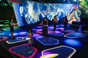 Changi Experience Studio Tickets