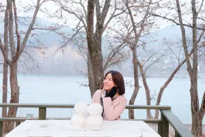 Nami Island Tours