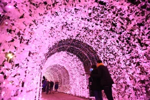 Nami Island Tours
