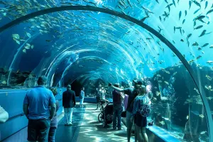 Georgia Aquarium Tickets