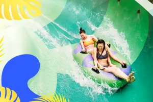 Adventure Cove Waterpark Tickets