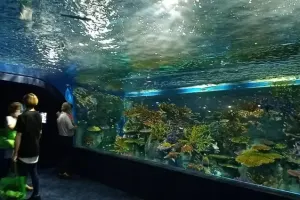 DMM Kariyushi Aquarium Tickets