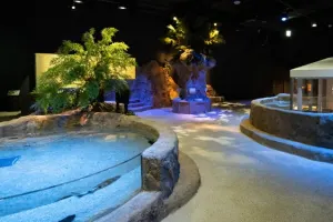 DMM Kariyushi Aquarium Tickets