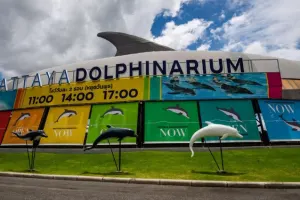 Dolphinarium Pattaya Tickets
